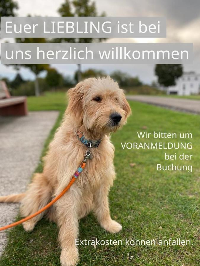 Fewo Johan - Ideal Fuer 1-2 Personen, Eigene Terrasse Hamm  Luaran gambar